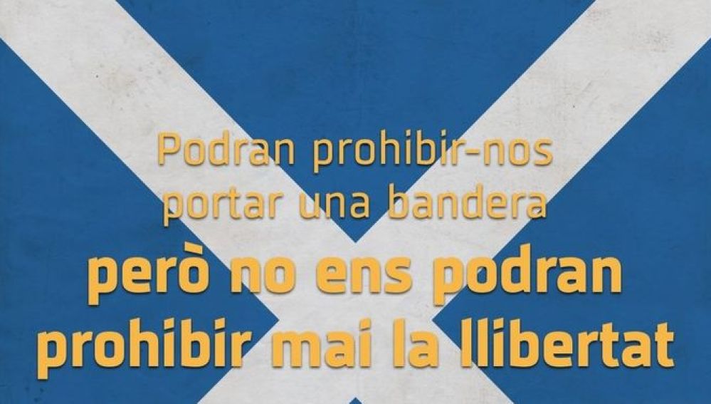 Campaña para portar la bandera de Escocia en la final de Copa