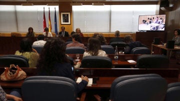 Comisión de investigación de la corrupción de la Asamblea de Madrid