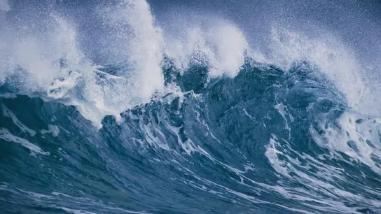 Tsunami Tsunami
