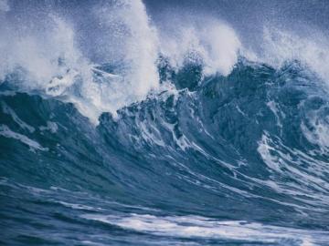 Tsunami Tsunami