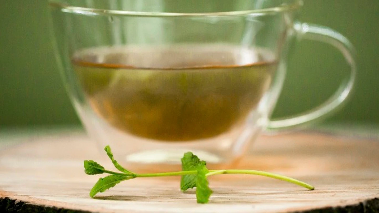 Infusión Infusión