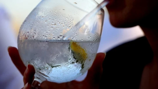 Ginebras Ginebras