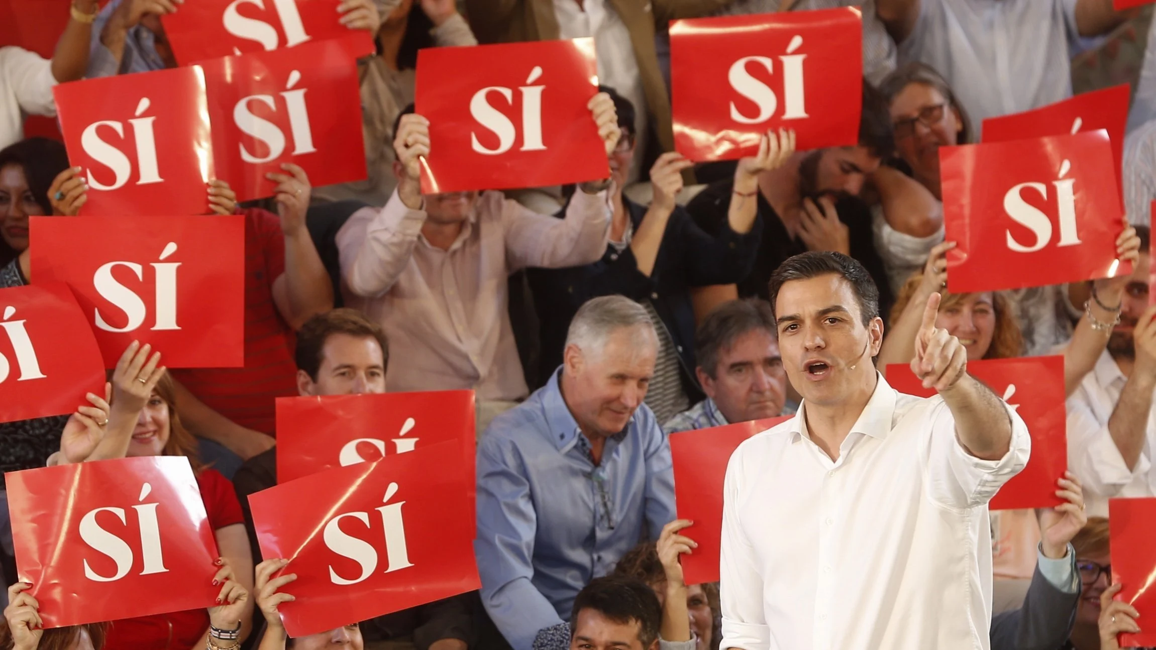 Pedro Sánchez, líder del PSOE Pedro Sánchez, líder del PSOE