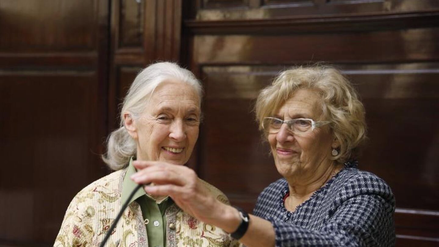 La biol&oacute;ga Jane Goodall y Manuela Carmena, en rueda de prensa