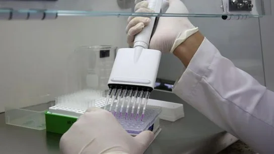 Imagen de pruebas en un laboratorio Imagen de pruebas en un laboratorio