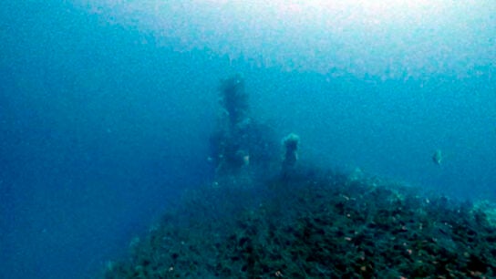 SUBMARINO 