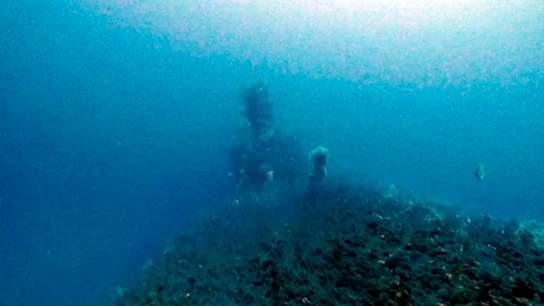 SUBMARINO SUBMARINO