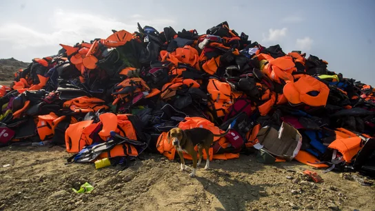 Chalecos de Inmigrantes Chalecos de Inmigrantes