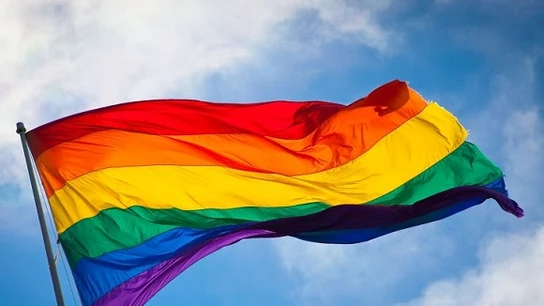 Bandera del movimiento LGTBI Bandera del movimiento LGTBI