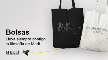 Las bolsas de Merlí
