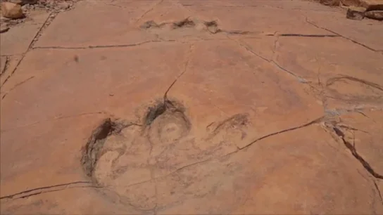 Frame 0.0 de: Científicos mexicanos dicen haber encontrado cuatro nuevas huellas de dinosaurio Frame 0.0 de: Científicos mexicanos dicen haber encontrado cuatro nuevas huellas de dinosaurio