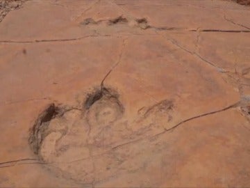 Frame 0.0 de: Científicos mexicanos dicen haber encontrado cuatro nuevas huellas de dinosaurio Frame 0.0 de: Científicos mexicanos dicen haber encontrado cuatro nuevas huellas de dinosaurio