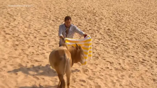 Pepe, toreando una vaca en la India Pepe, toreando una vaca en la India