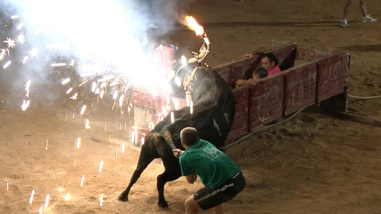 Un joven tirando del rabo de un toro Un joven tirando del rabo de un toro