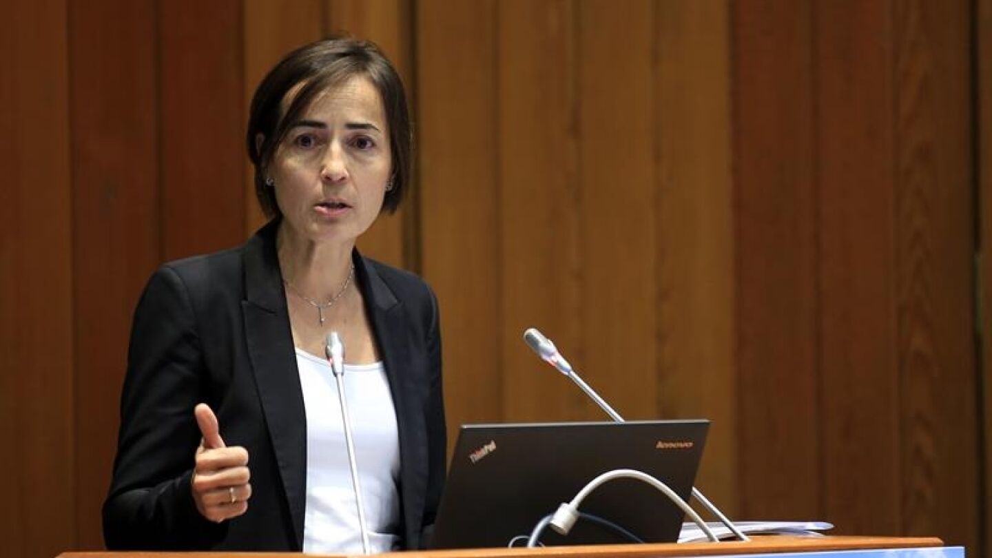 La exdirectora general de Tr&aacute;fico, Mar&iacute;a Segu&iacute;