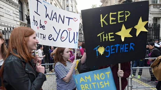 Varios manifestantes que apoyan la permanencia del Reino Unido en la Unión Europea Varios manifestantes que apoyan la permanencia del Reino Unido en la Unión Europea