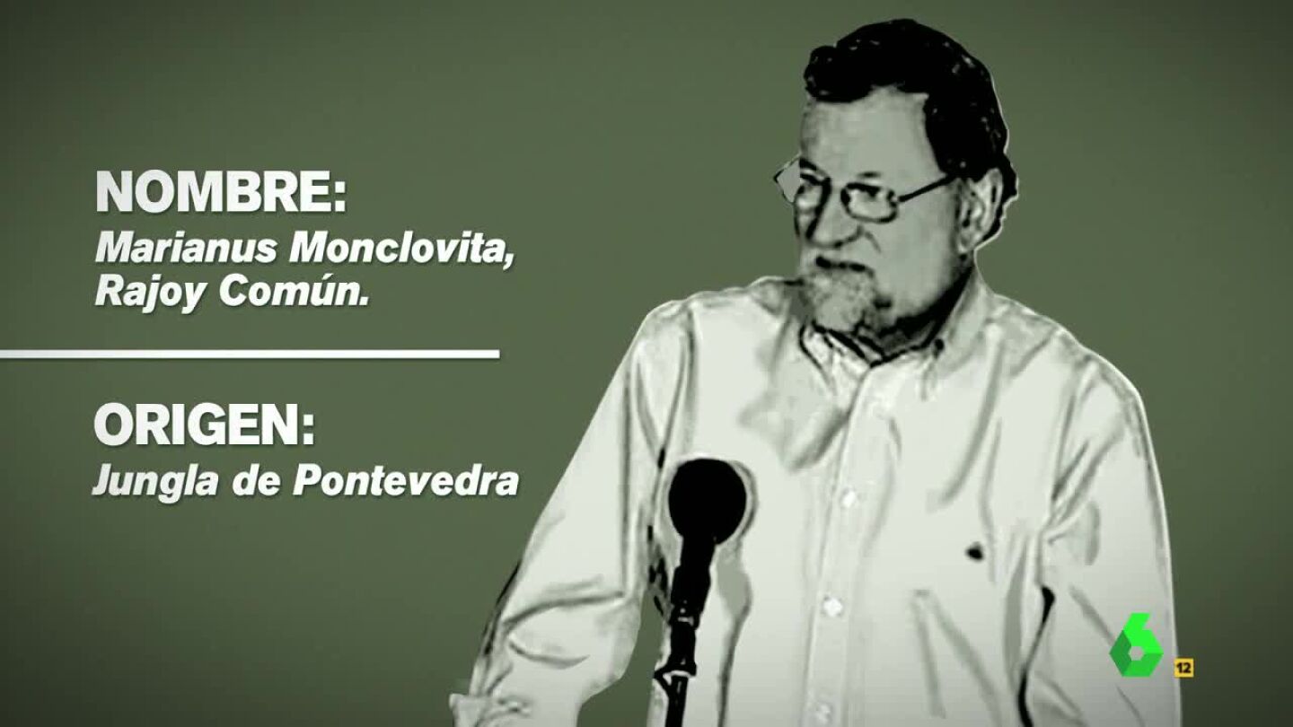 Marianus Monclovita