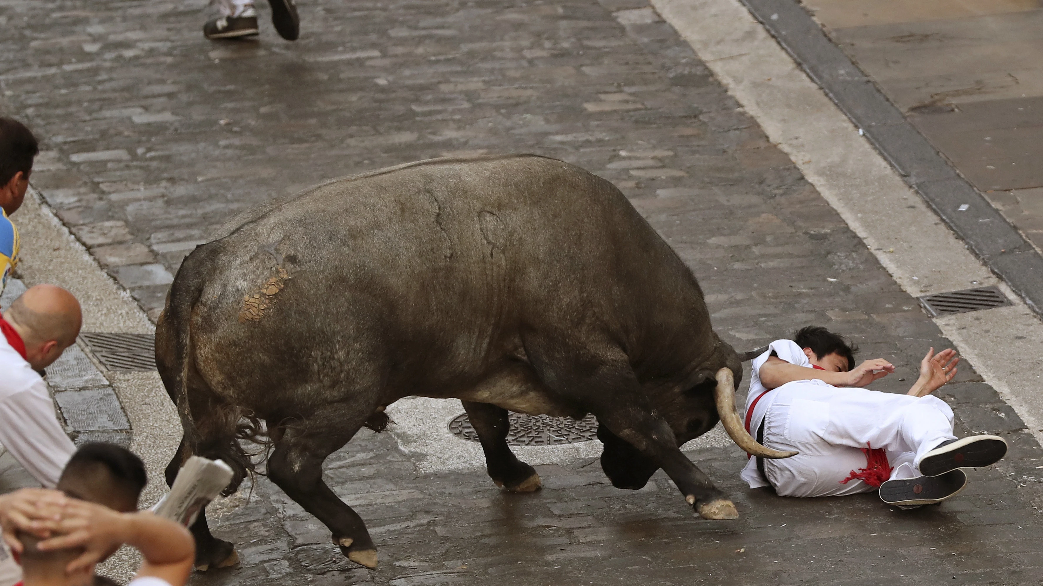 Un toro rezagado de José Escolar cornea a un mozo durante el tercer encierro de los Sanfermines 2016.