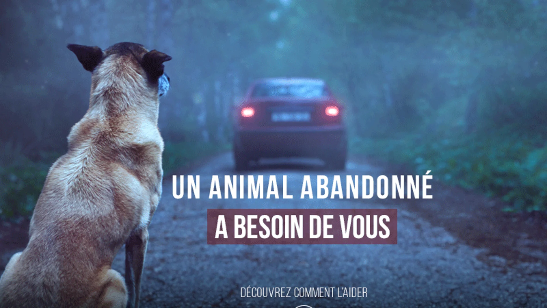 Campaña viral con el objetivo de prevenir el abandono animal