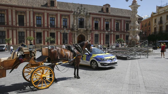 Coche de caballos en Sevilla Coche de caballos en Sevilla