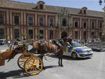Coche de caballos en Sevilla Coche de caballos en Sevilla