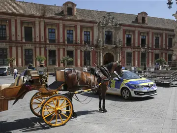 Coche de caballos en Sevilla