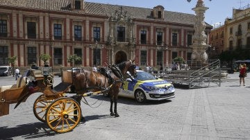 Coche de caballos en Sevilla
