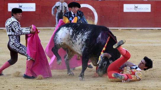 Fallece el torero Víctor Barrio al sufrir una cogida en Teruel Fallece el torero Víctor Barrio al sufrir una cogida en Teruel