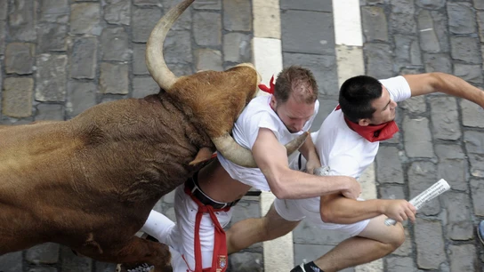 7º Encierro | San Fermín 2016 La imagen corresponde al tramo del Ayuntamiento donde uno de los morlacos "encuna" a dos corredores.