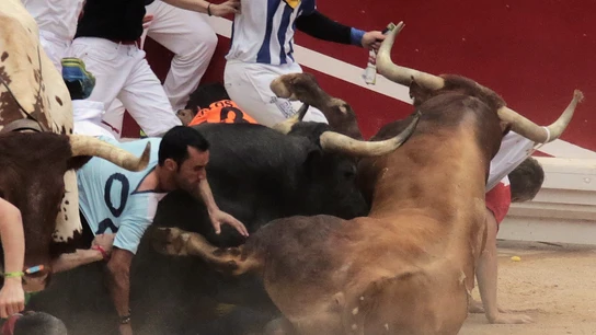 Los toros de la ganadería de Miura han cerrado los encierros de San Fermín de 2016 Los toros de la ganadería de Miura han cerrado los encierros de San Fermín de 2016