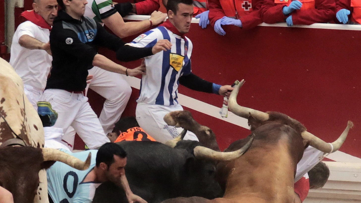 Los toros de la ganadería de Miura han cerrado los encierros de San Fermín de 2016