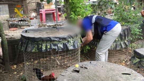 El marco de la operaci&oacute;n se ha realizado en Asturias, Cantabria y Vizcaya 