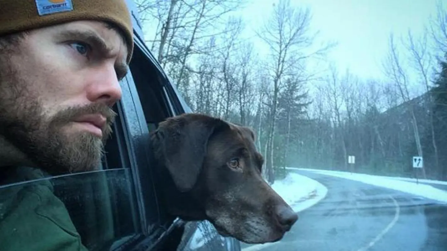 Bella y el viaje de su vida Bella y el viaje de su vida