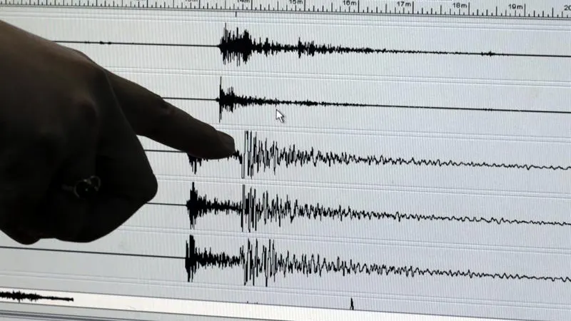 Actividad sísmica registrada durante un terremoto