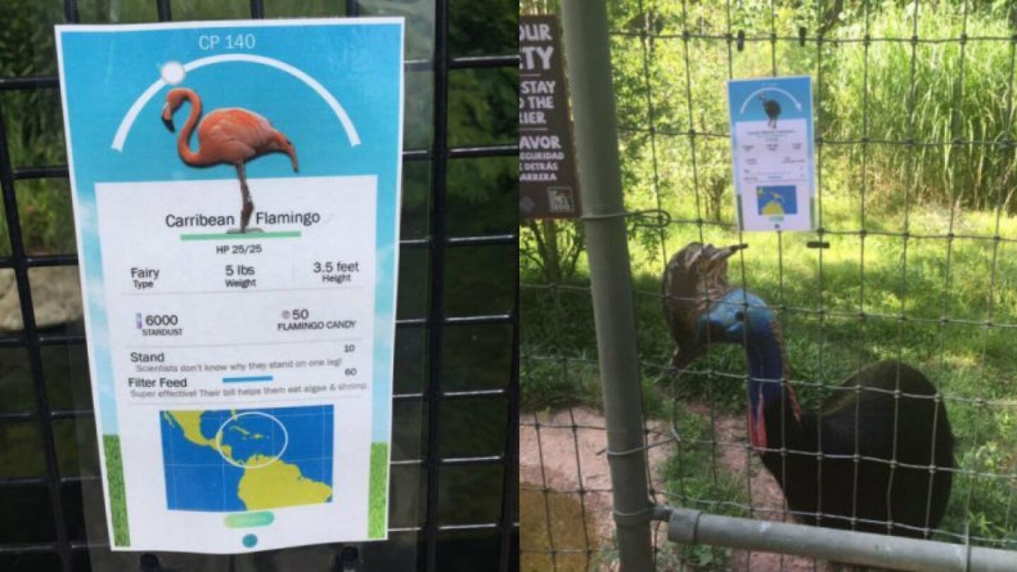 Cartel creado por la cuidadora del Zoo de Birmingham