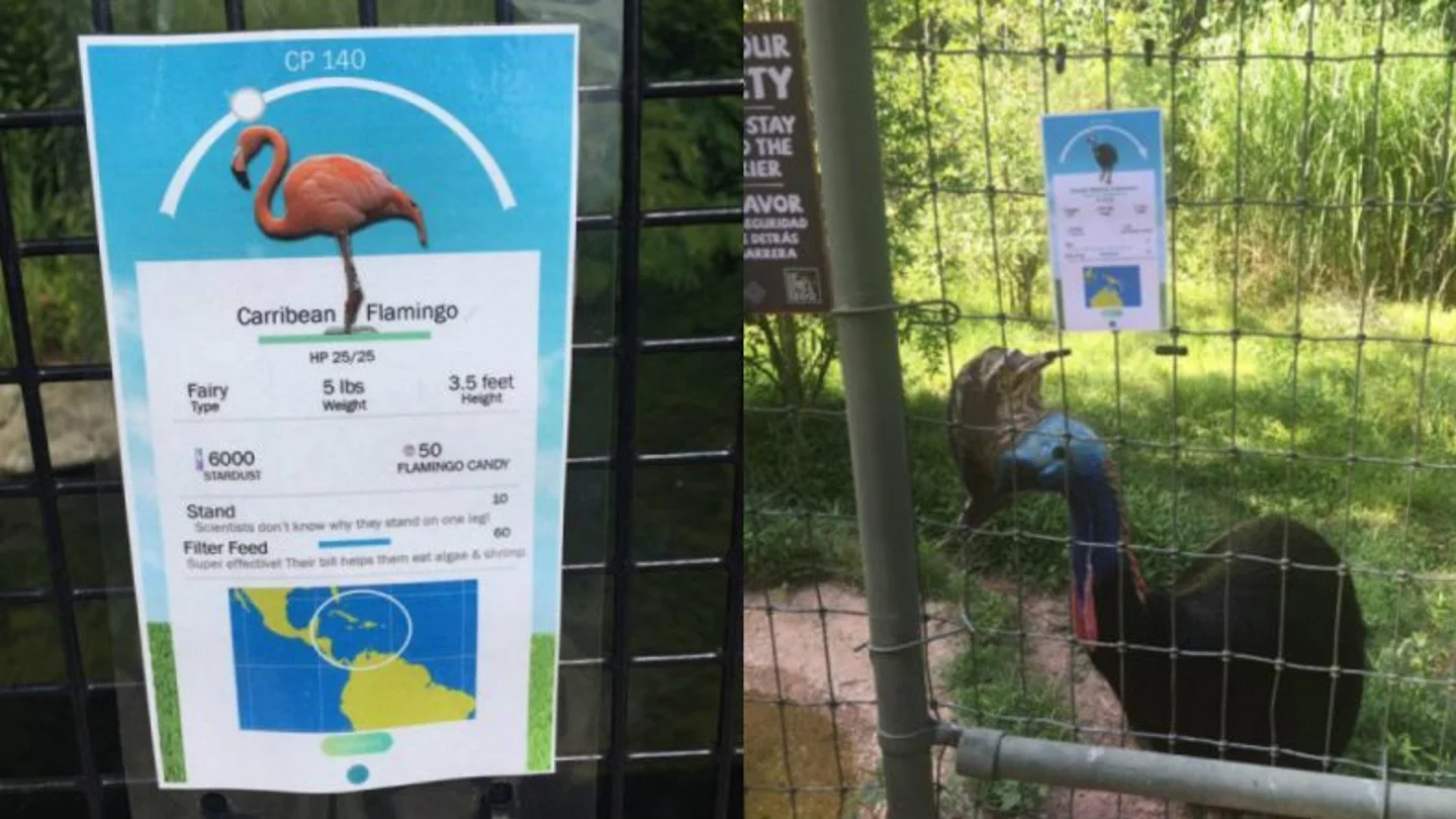 Cartel creado por la cuidadora del Zoo de Birmingham Cartel creado por la cuidadora del Zoo de Birmingham