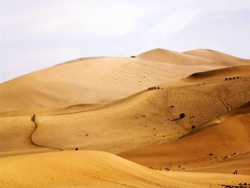 Desierto del Karakum (Turkmenistán)