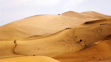 Desierto del Karakum (Turkmenistán)
