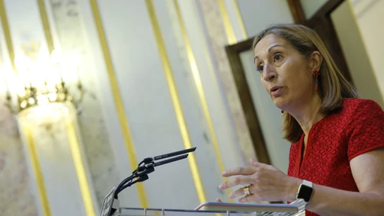 La presidenta del Congreso, Ana Pastor La presidenta del Congreso, Ana Pastor