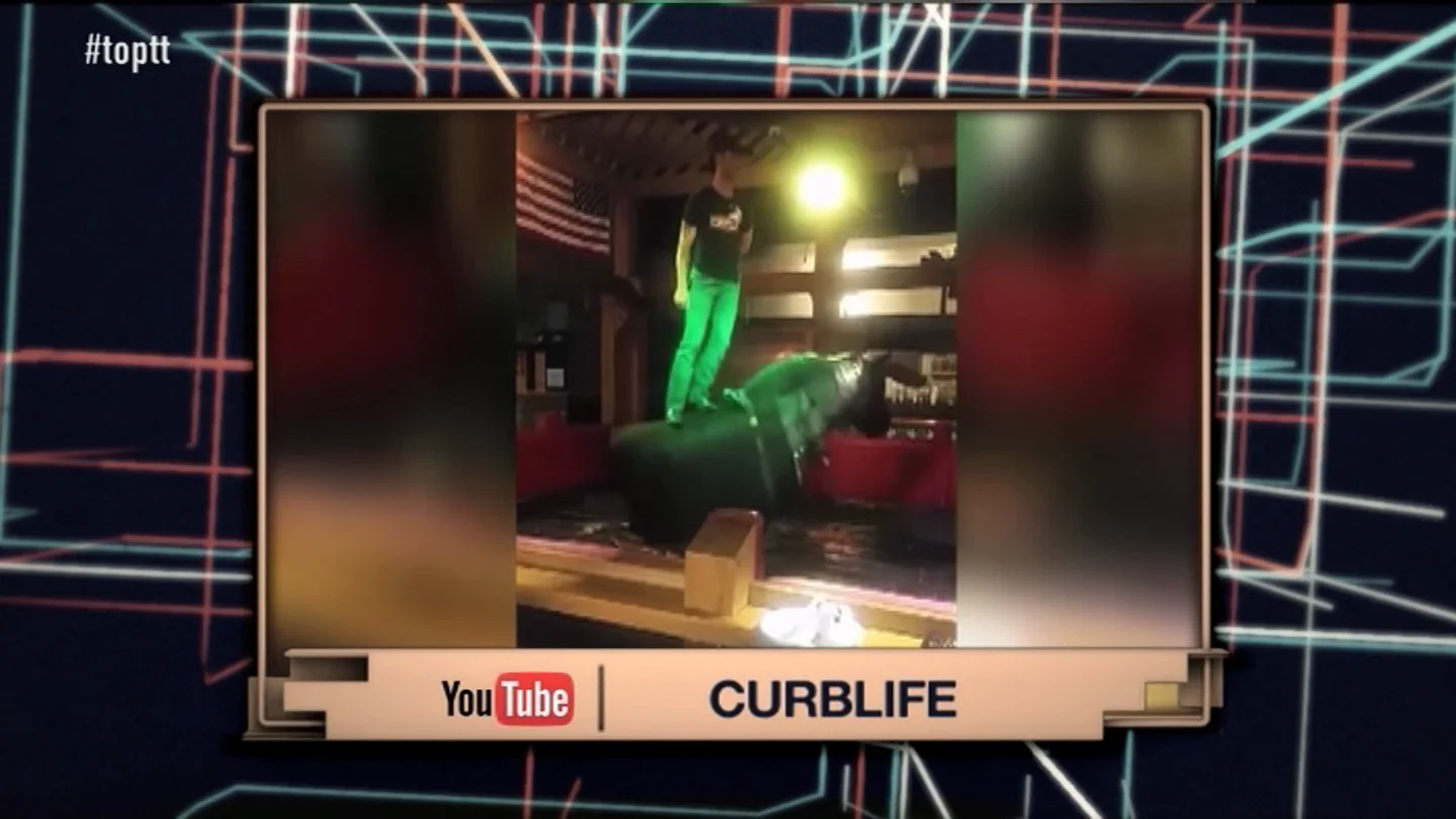EL VIRAL EL VIRAL
