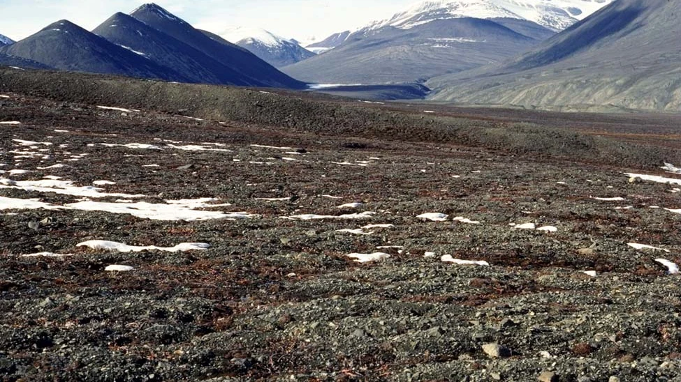 Tundra, foco de la proliferación de ántrax