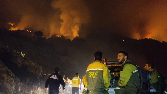 incendio La Palma incendio La Palma