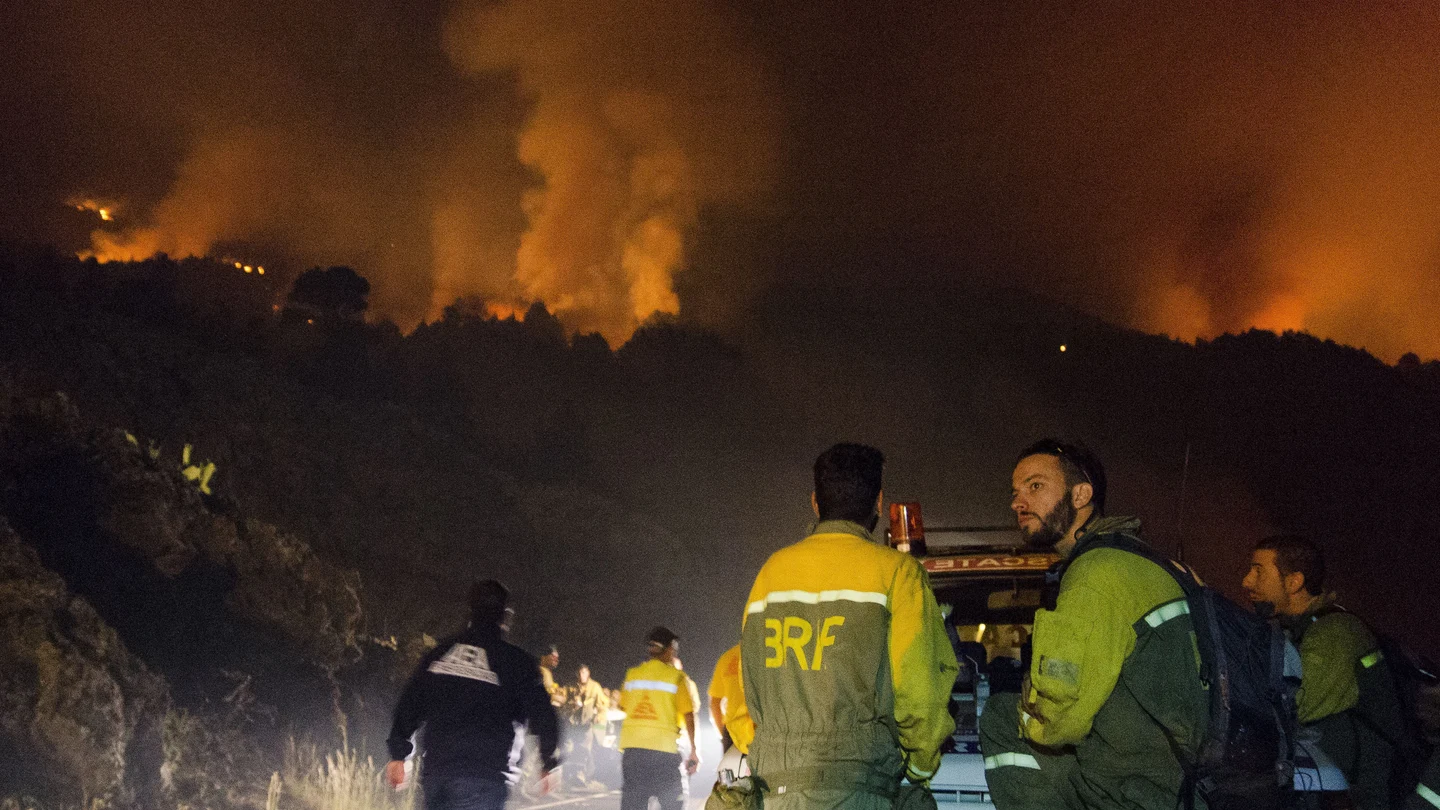 incendio La Palma incendio La Palma