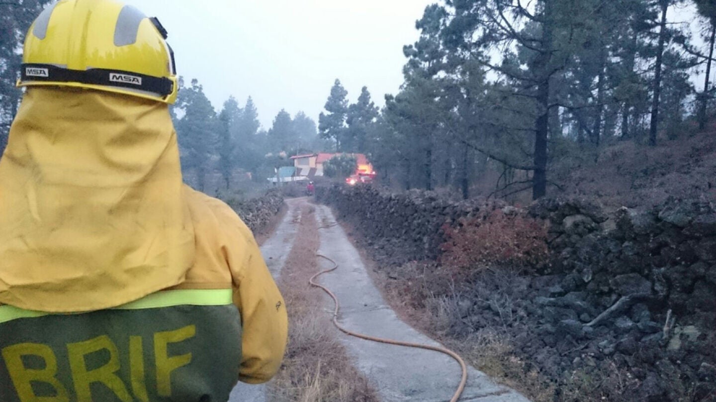 Brigadas forestales del incendio de La Palma
