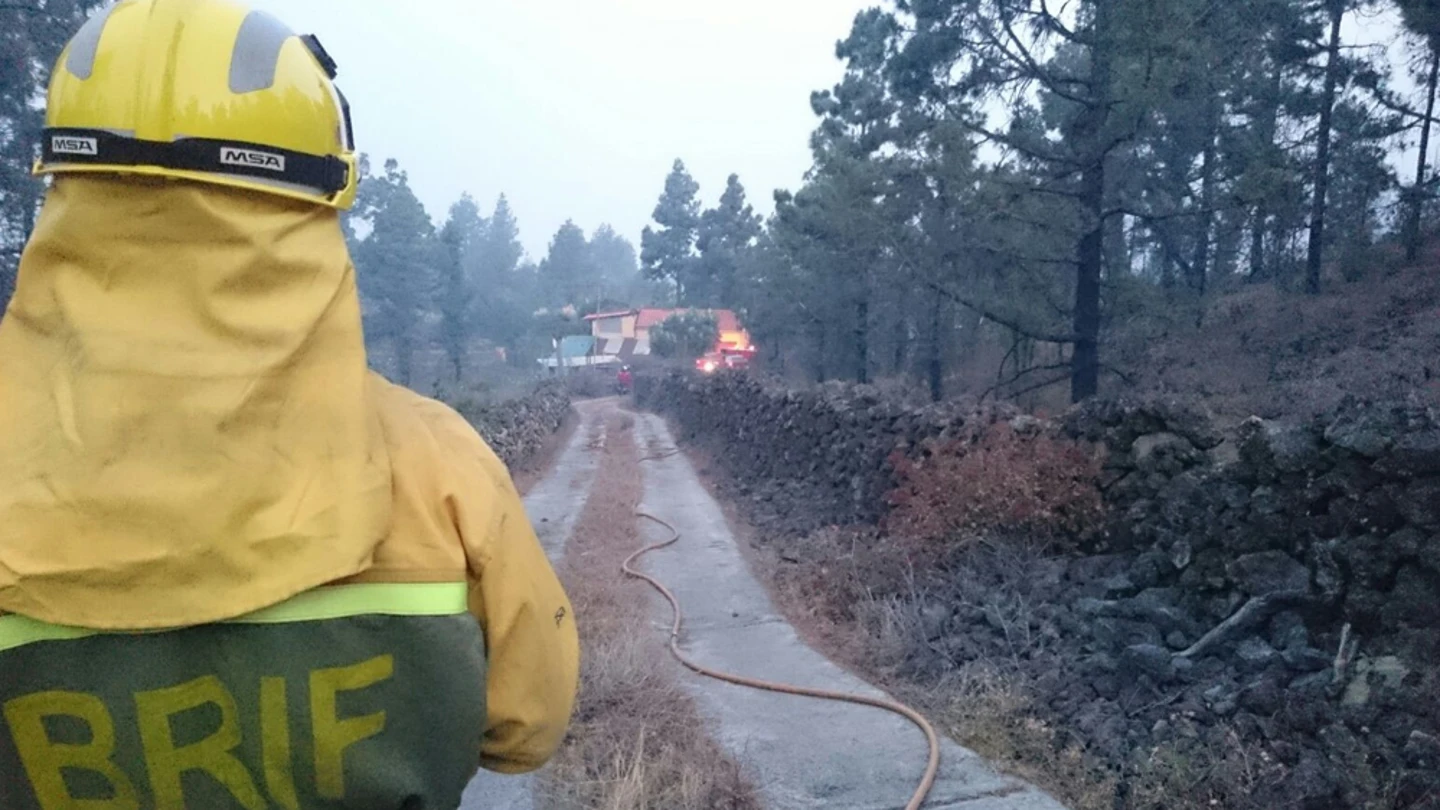 Brigadas forestales del incendio de La Palma Brigadas forestales del incendio de La Palma