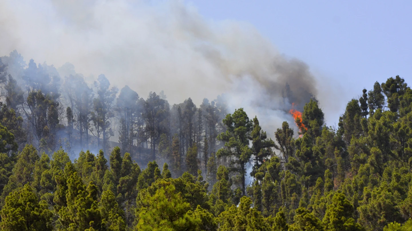 Imagen del incendio de La Palma Imagen del incendio de La Palma