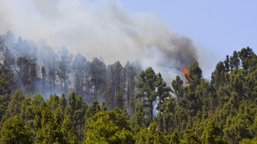 Imagen del incendio de La Palma