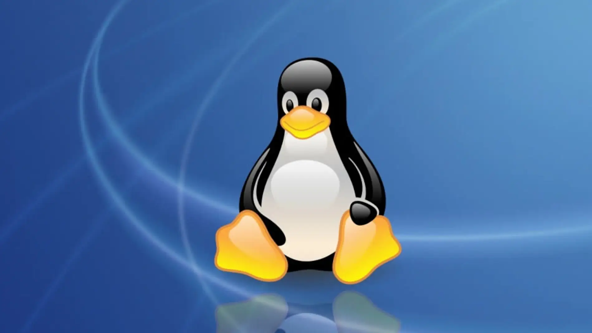 25 años de Linux, el sistema operativo del pingüino que defiende el  software libre
