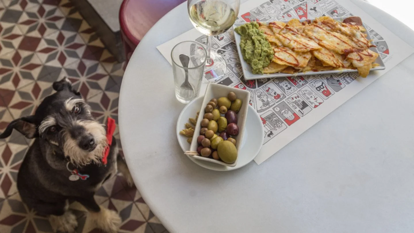 Perro en un bar Perro en un bar