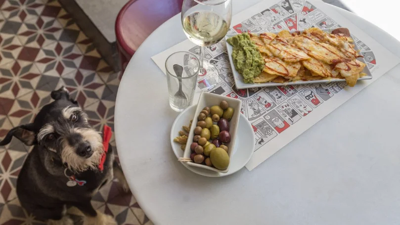 Perro en un bar